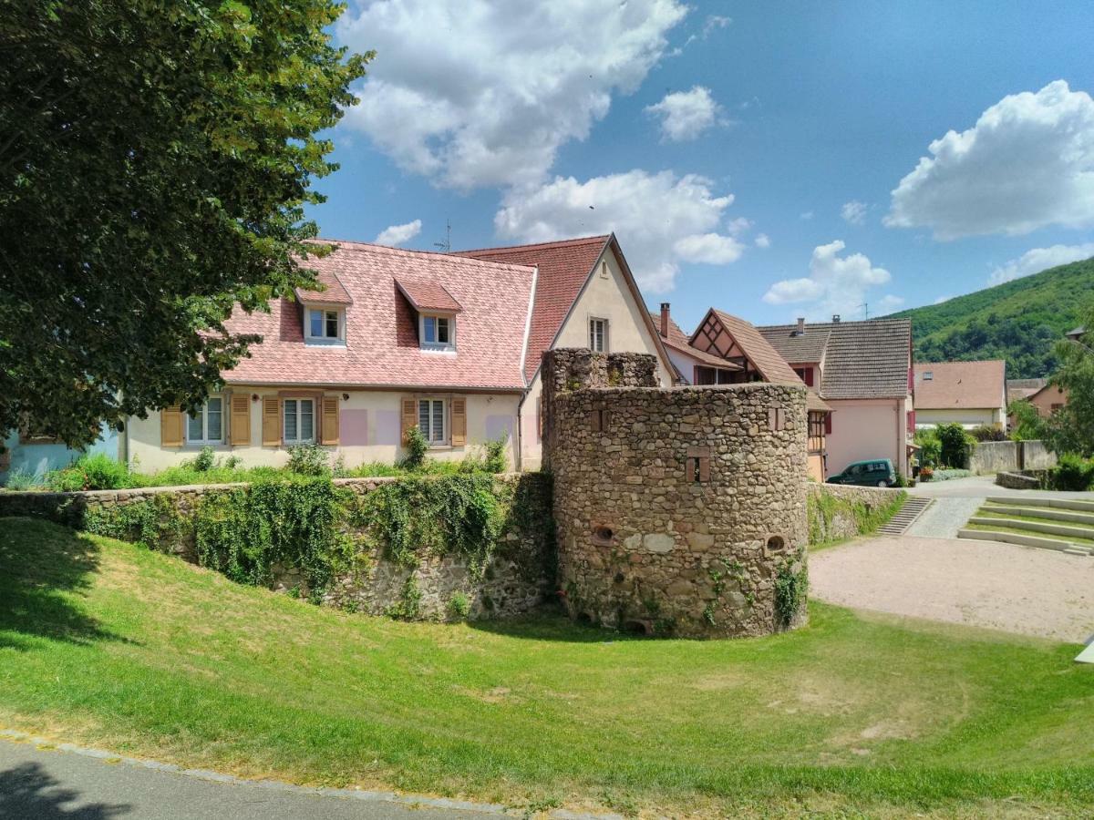 La Grande Terrine - Gites Les Potiers Kaysersberg-Vignoble Exterior photo