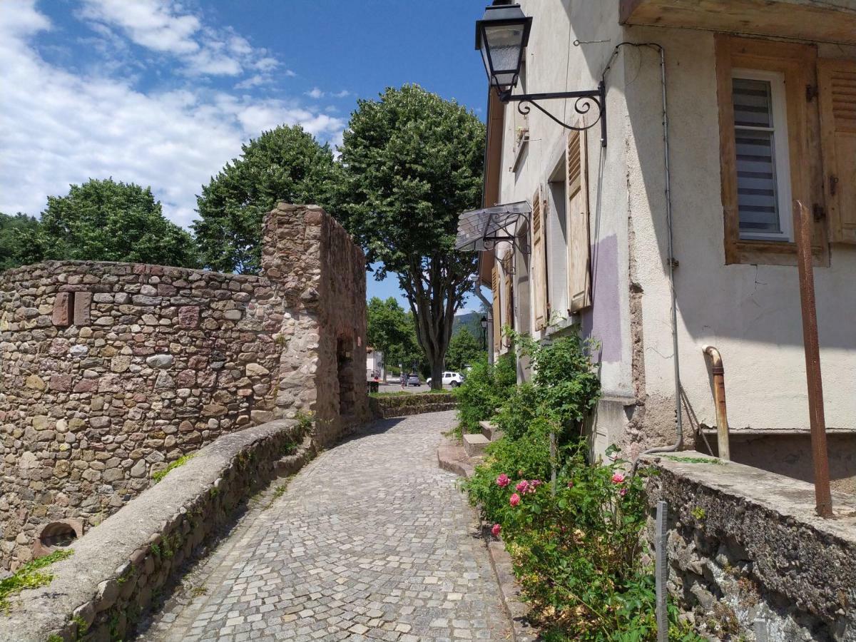 La Grande Terrine - Gites Les Potiers Kaysersberg-Vignoble Exterior photo