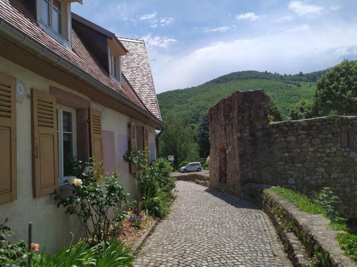 La Grande Terrine - Gites Les Potiers Kaysersberg-Vignoble Exterior photo